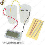 Овочевий годинник — "Vegetable Clock", фото 2