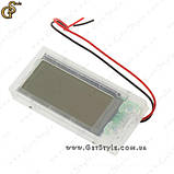 Овочевий годинник — "Vegetable Clock", фото 3