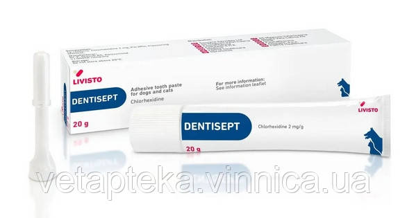 Dentisept (Дентисепт) 20г зубна паста для собак і кішок