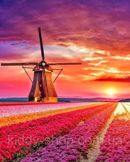 Діамантова вишивка. Картина на підрамнику "Млин на лавандовому полі", 40х50см, квадратні стрази, фото 1