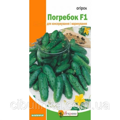 Насіння огірок Погребок F1 (засолювальний) Яскрава 0,5 г, фото 1