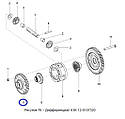 Шестерня диференціала мала z-43 КЗС-1218, фото 2