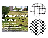 Газонна сітка. Сітка від кротів, гризунів, витоптування.