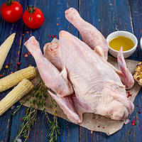 Кукурузный цыплёнок (без антибиотиков)