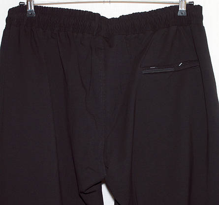 Спортивні штани Fore чоловічі 7XL,8XL,9XL,10XL, фото 6