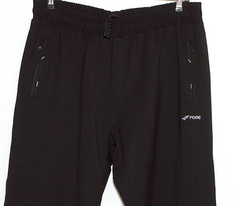 Спортивні штани Fore чоловічі 7XL,8XL,9XL,10XL, фото 4