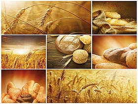 Флізелінові фотошпалери їжа 416x254 см Свіжий хліб та пшениця (103VEXXXL)+клей