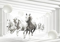 Фото обои 3Д белый тоннель с колоннами 254x184 см Абстрактные лошади и шары (10154P4)+клей