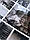 Вінілова 3Д наклейка на стіл Велич Лондона (ПВХ плівка самоклеюча) колаж Архітектура Сірий 600*1200мм, фото 5