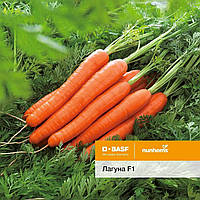 Семена моркови Лагуна F1 фр. 2,0 - 2,2 (25 000 сем.) Nunhems