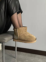 Угги жіночі UGG Classic Mini Mokko Suede Lacquer (c мехом) 10315