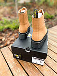 Жіночі черевики Dr.Martens Jadon Black Beige Premium (с мехом) ALL05308, фото 7