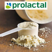 Концентрат сироваткового білка ПРОЛАКТАЛ 80%, Сироватковий протеїн WPC 80 PROLACTAL (PROLACTAL , Німеччина)
