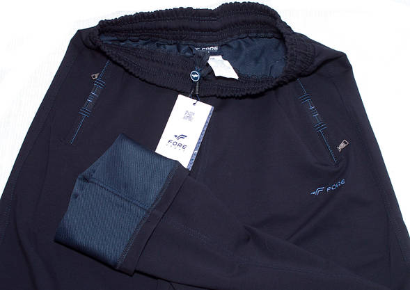 Спортивні штани чоловічі сині Fore 1204 M, фото 2