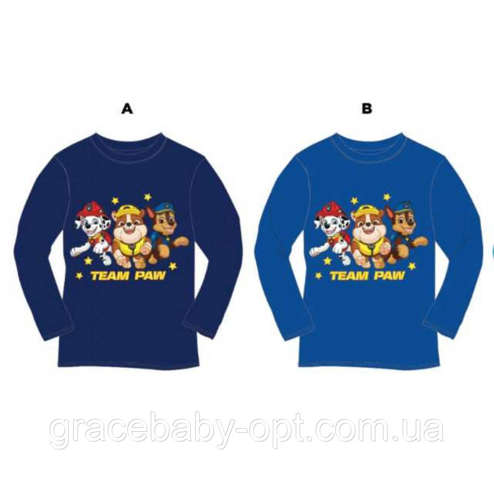 Реглан для хлопчиків оптом, Disney, 3-8 років, № PAW-GT-Shirt-253