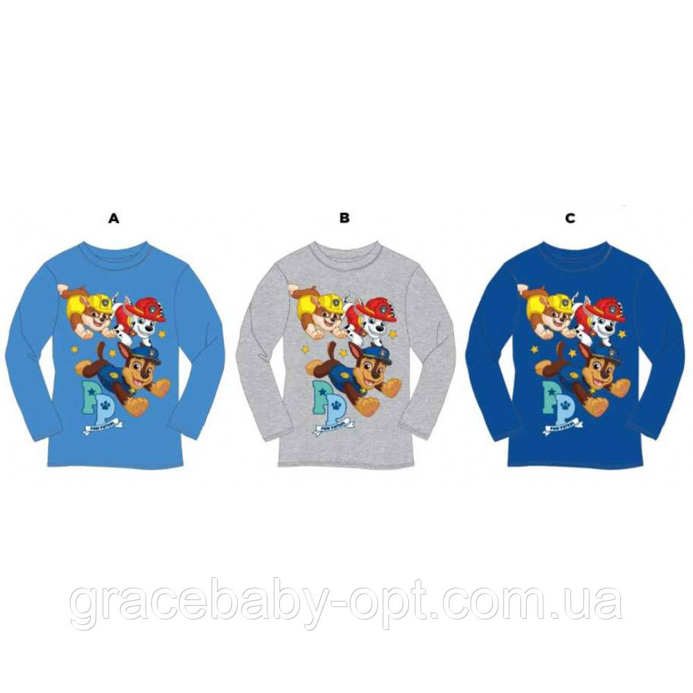 Реглан для хлопчиків оптом, Disney, 3-8 років, № PAW-GT-Shirt-252