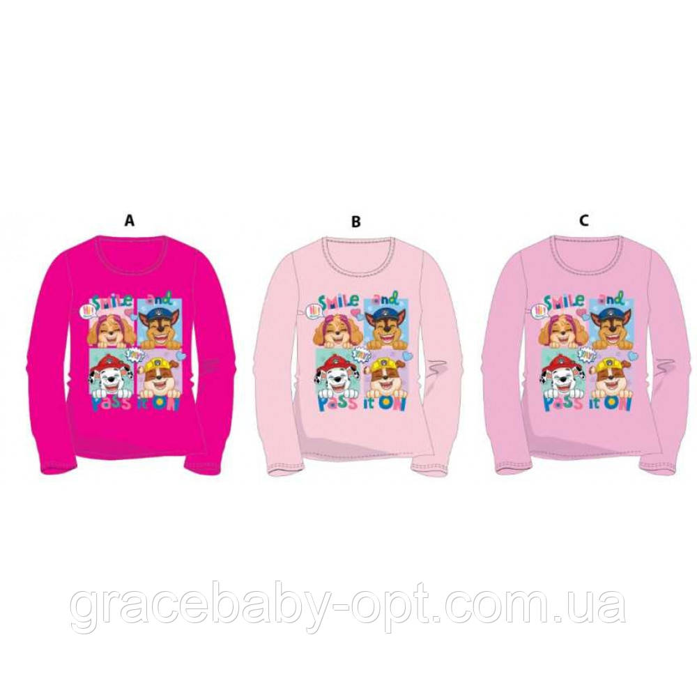 Реглан для дівчат оптом, Disney, 3-8 років,  № PAW-G-T-SHIRT-257