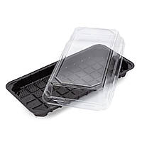 Упаковка для суші, ролів та кондитерських виробів 260х125 (50шт/уп)