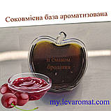 Комплексна суміш Вишня в/р; 6510, фото 2