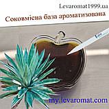 Комплексна суміш Кактусдля Текіли, світяться, при ультрафіолетовому освітленні 6530, фото 4