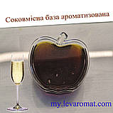 Комплексна суміш Вино Ігристе 6571, фото 2