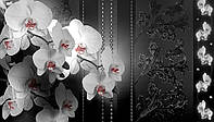 Зд флизелиновые фотообои в зал 368x254 см Черно-белые с красным орхидеи (1328V8)+клей