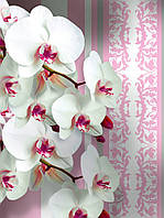Фото обои на стену в зал 184x254 см 3Д Орхидеи и светло-розовый узор (1302P4A)+клей