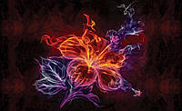 Зд фото шпалери в зал 368x254 см Вогняна квітка на темному тлі (1308P8)+клей