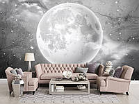 Флізелінові фотошпалери зоряне небо на стіні 416x254 см Космос чорно-білий місяць на бетоні (13574VEXXXL)+клей