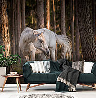 Виниловые 3D фотообои в виде дерева 368x254 см Белая лошадь в лесу (13599W8)+клей