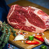 Рибай Чойс 15+, фото 2