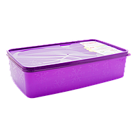 Бокс для морозильной камеры 2,1 л прямоугольный Alaska фиолетовый