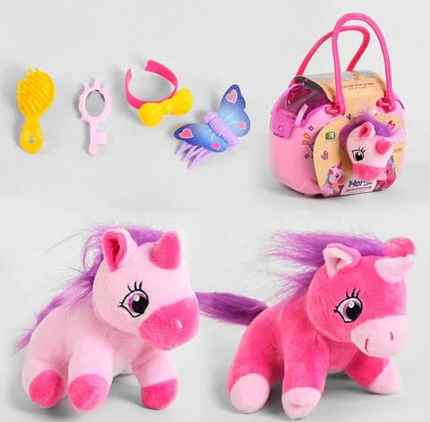 М'яка Поні у перенесенні з аксесуарами DR5056