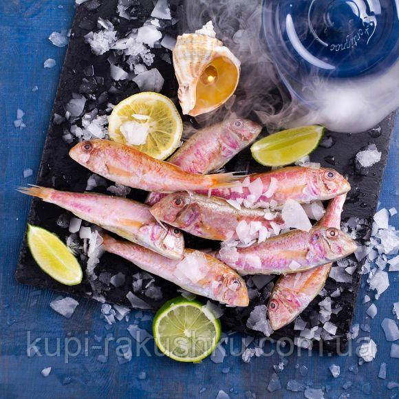 Барабулька Чорноморська с/м, фото 1