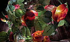 Гірлянда світлодіодна "краплі роси" Троянди Провансу на батарейках 1 м 30 LED (золотистий теплий), фото 5