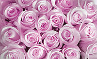 Флизелиновые фотообои на стену в зал 254x184 см 3Д Цветы розовые розы (142V4)+клей