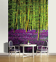 Шпалери в зал фото 184x254 см Лісовий пейзаж з фіолетовими квітами (1439P4A)+клей