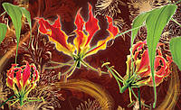 Фотообои природа 254x184 см Цветы глориозы (1370P4)+клей