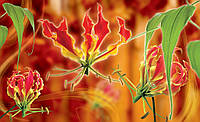 Флизелиновые фотообои природа 254x184 см Цветы глориозы (1371V4)+клей