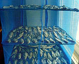 Сітка для сушіння риби (фруктів і овочів) сушарка Трьохярусна 50х50х55| Сітка для сушіння грибів, фото 3