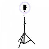 Світлодіодне селфи кільце з тримачем для телефону Selfie Ring Light LL666 26 см 3 режиму, фото 4