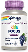 Solaray, Kids Focus (60 жев.таб.), для развития детского мозга