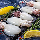 Каракатиця Baby, фото 2