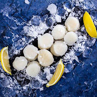 М'ясо морських гребінців з/м 10-20