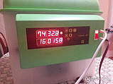 Інкубатор з автоматичним переворотом універсальний "Спектр-84-01" 220/12V, фото 4