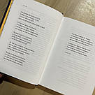 Палімпсести. Автор Василь Стус, фото 3