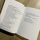 Палімпсести. Автор Василь Стус, фото 5