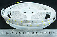 Світлодіодна стрічка 3528-60-IP66-CWd-10-12 R6060BA (4666)