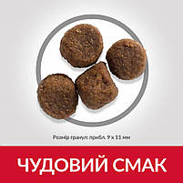 Hill's SP Puppy Medium Breed Lamb&Rice Сухий Збалансоване корм з ягням та рисом для цуценят 14 кг, фото 4