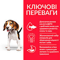 Збалансоване харчування Hill's SP Puppy Medium Breed Lamb&Rice Сухий корм з ягням та рисом для цуценят 1.5 кг., фото 5